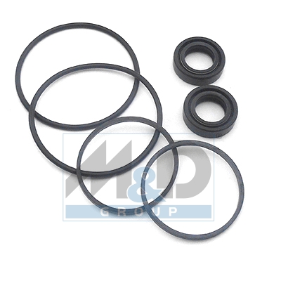 [37004] Dichtungssatz, Hydraulikpumpe