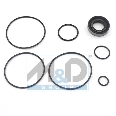 [37047] Dichtungssatz, Hydraulikpumpe