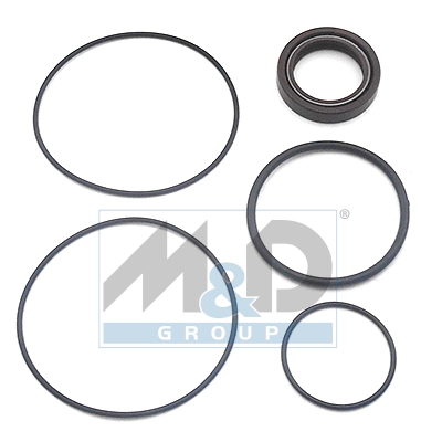 [37024] Dichtungssatz, Hydraulikpumpe