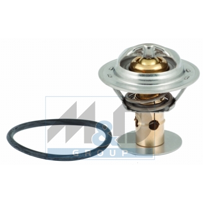 [92419] Thermostat, Kühlmittel
