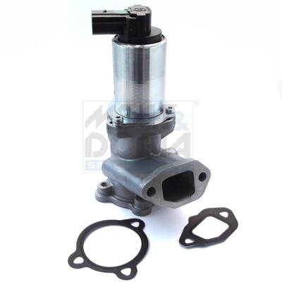 [88592] Ventil des Abluft-Umlaufsystems (EGR)