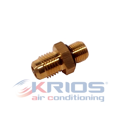 [K79069] Ventilinspektion Kompressor SANDEN