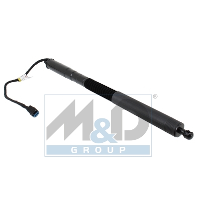 [301075] Gasfeder, Einlegeboden (Koffer-/Laderaum)