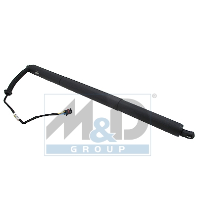 [301038] Gasfeder, Einlegeboden (Koffer-/Laderaum)