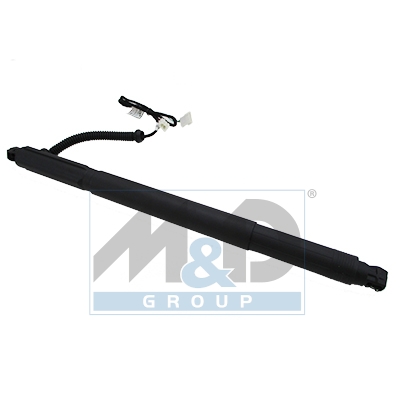 [301008] Gasfeder, Einlegeboden (Koffer-/Laderaum)